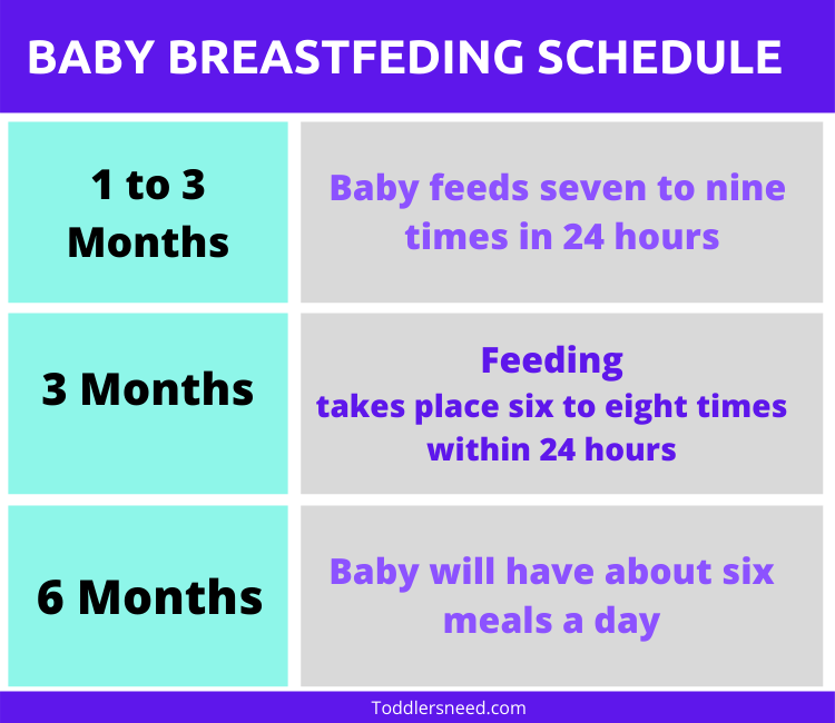 Baby Feeding Schedule - A Feeding Guide to the First Year Baby ...